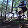 Profile Picture of DRR steve golding (@DRR steve golding) on Flickr