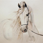 Profile Picture of Yousef Hassan (@yousefhassan1) on Flickr