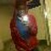 Profile Picture of Jordan Tubbson Twitter