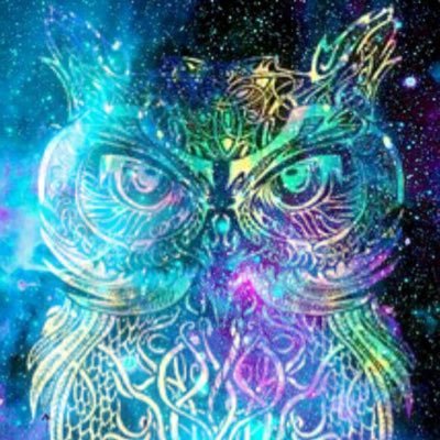 Profile Picture of Meredith Duffy (@MeredithDuffy2) on Twitter