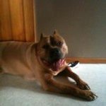 Profile Picture of Mike Teresa Potts (@mikepotts772) on Instagram