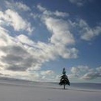 Profile Picture of Dwight Kim (@dwight-kim-6) on Quora