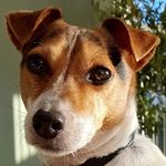 Profile Picture of John Humphries (@john.humphries53) on Instagram