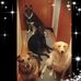 Profile Picture of Luis Roche (@luis.roche.73) on Facebook