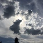 Profile Picture of Adam Williams (@adamiwilliams) on Instagram