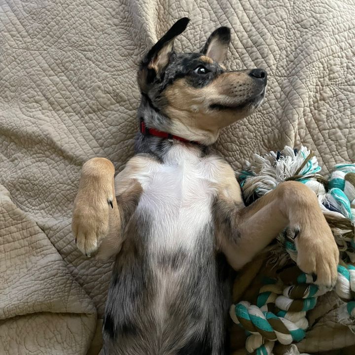 Profile Picture of Tim (@timothyvandenboom) on Tiktok