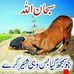 Profile Picture of Waseem Malik Waseem (@waseem.malikwaseem.5836) on Facebook