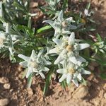 Profile Picture of Roberta Contessa (@contessaroberta) on Instagram