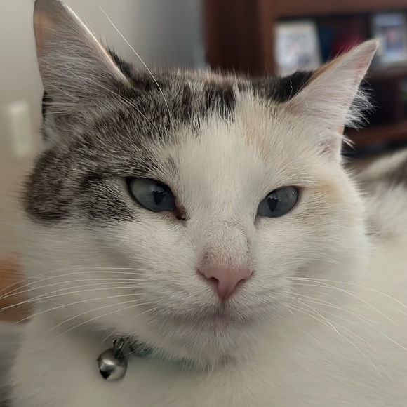 Profile Picture of Caitlin Duede (@caitlinduede) on Poshmark