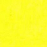 Profile Picture of Johnny (@johnny_mojica1) on Instagram