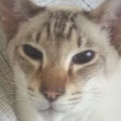 Val Wright - Youtube Profile Picture of Val Wright (@howzatgirls) on Youtube