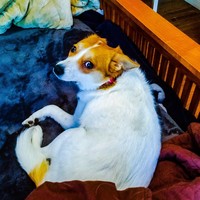 Profile Picture of Robert Jeffers (@robert-jeffers-24) on Quora