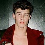 Profile Picture of Shawn Mendes Fontes (@shawnmendesfontes) on Instagram