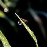 Matt Jeffery - Instagram Profile Picture of Matt Jeffery (@mattjefferyphotography) on Instagram