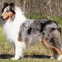 Profile Picture of Tamra Barton (@tamrabarton) on Tiktok