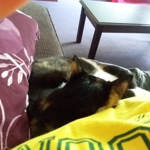 Profile Picture of Ashley Nicole Pierce (@AshleyNicolePi9) on Twitter