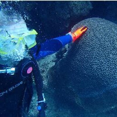 Profile Picture of Jacques Boudreau (@JejBoudreau) on Twitter