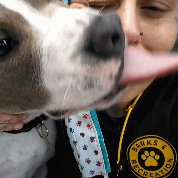 Profile Picture of Michelle Mitchell-gilliam (@mishtattoo) on Poshmark