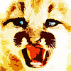 Profile Picture of DBNickoloff (@DBNickoloff) on Flickr