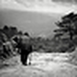 Profile Picture of Amir Moradi (@amirshuddy) on Flickr