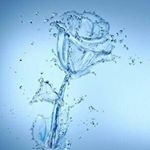 Profile Picture of Manisha Adhikari (@manishaadhikari) on Instagram