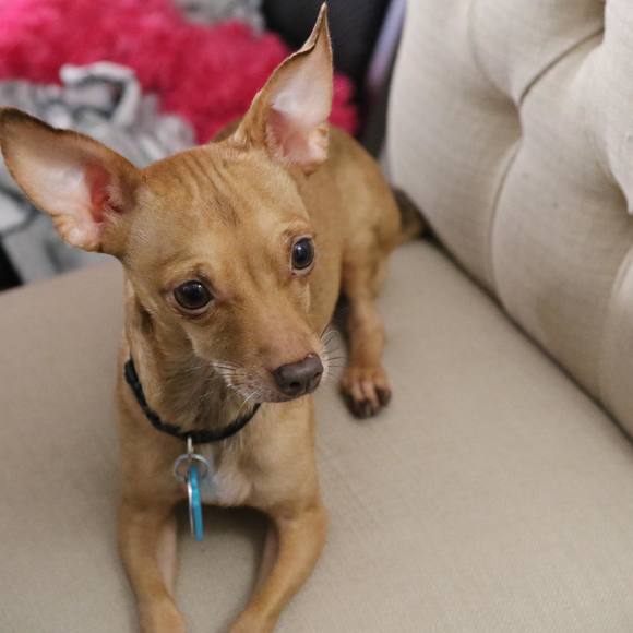 Profile Picture of Xenia García (@xjzbpa) on Poshmark