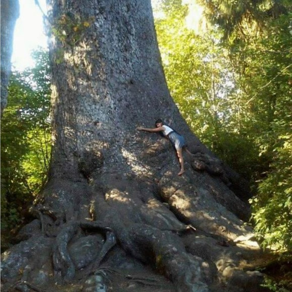 Profile Picture of Prism Sackson (@soulshine1111) on Poshmark