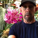 Profile Picture of Thomas Weinberg (@mauioceanswimmer) on Instagram