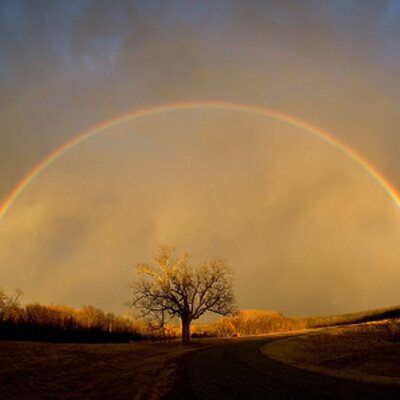 Profile Picture of Phyllis Cunningham (@nammy2three) on Twitter