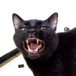 Profile Picture of Sylvester, Candy (@sylvester_2114) on Instagram