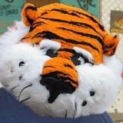 Profile Picture of Thomas Simpson (@popatom) on Pinterest