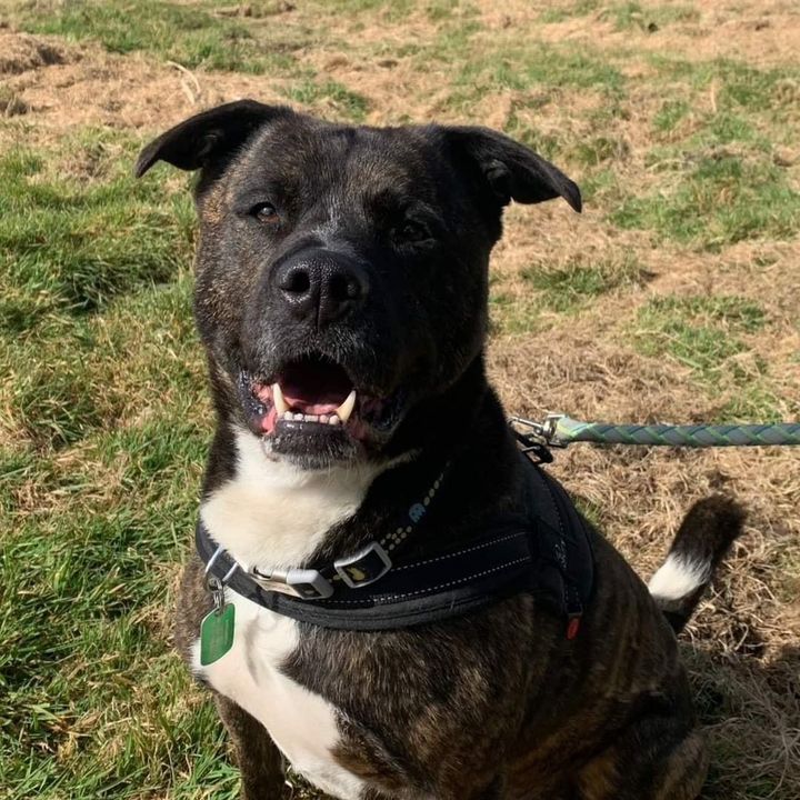 Profile Picture of Glenn (@glennford67) on Tiktok