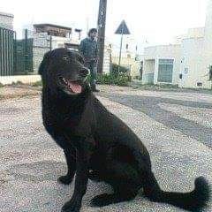 Profile Picture of Benjamim Pinheiro (@benjamim.pinheiro08) on Tiktok