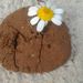 Profile Picture of Minteha (@mintehafurunkoyak) on Pinterest