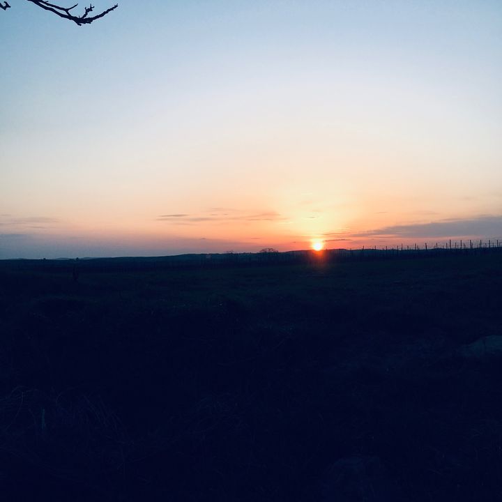 Profile Picture of Peter Niemiec (@belove0) on Tiktok