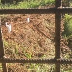 Profile Picture of Arnold Within (@Arnold-Within) on Facebook