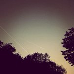 Profile Picture of Steven Mayfield (@sj_mayfld) on Instagram