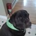 Profile Picture of Hershey Herchenroder (@hershey.herchenroder) on Facebook