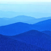 Profile Picture of Aaron Case (@aaroncase709) on Youtube