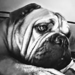 Profile Picture of jeffry kirksey (@jeffkirksey02) on Instagram