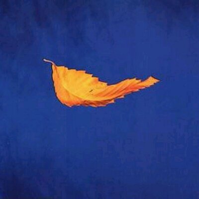 Profile Picture of Andrea Thomas (@PoppetFeatures) on Twitter