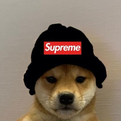 Profile Picture of James Steven Quesada (@jamesquesada22) on Twitter