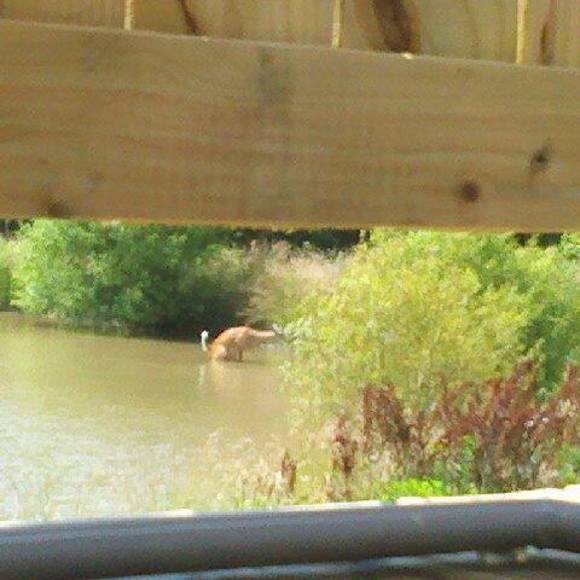 Profile Picture of Joyce Kohler (@gotohell2018) on Poshmark