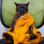 _alex_glebov_ - Instagram Profile Picture of _alex_glebov_ (@_alex_glebov_27) on Instagram