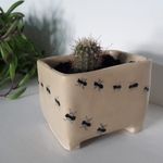 Profile Picture of Marisa Scotto (@ceramicacorazon) on Instagram