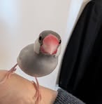 Profile Picture of Yukio Iwasaki (@Yukio-Iwasaki) on Facebook