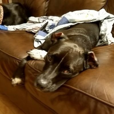 Profile Picture of Eric Olson (@wisco_kid) on Twitter