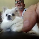 Profile Picture of Darrell Bradford (@bradford.darrell) on Instagram