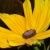 Profile Picture of Chris Bair (@cd4466) on Pinterest