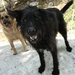 Profile Picture of James Casanova (@james_casanova) on Instagram